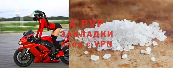 прущие грибы Киренск