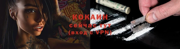 прущие грибы Киренск