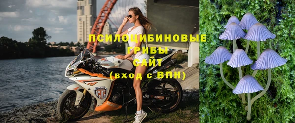 прущие грибы Киренск