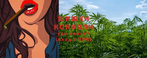 прущие грибы Киренск