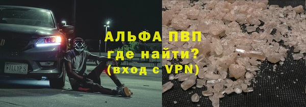 прущие грибы Киренск