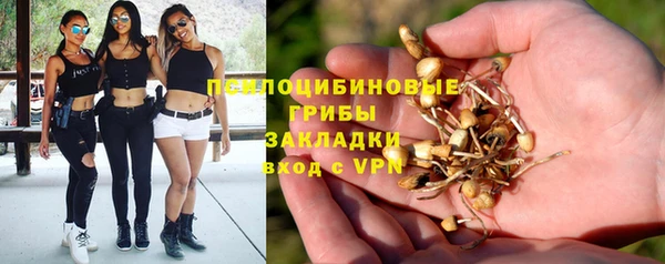 прущие грибы Киренск