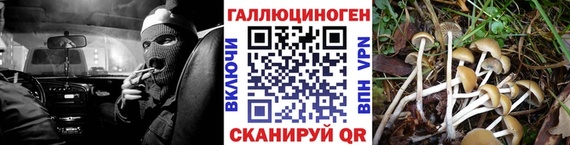 Псилоцибиновые грибы ЛСД  Купить где  Льгов 